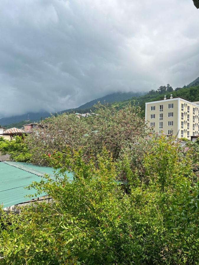 Na Shapsug Guest House 加格拉 外观 照片