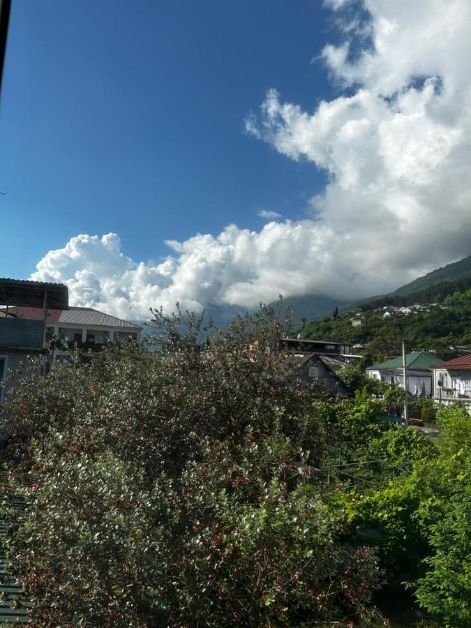 Na Shapsug Guest House 加格拉 外观 照片