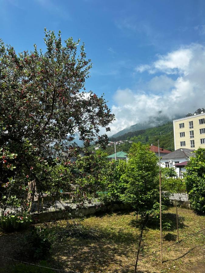 Na Shapsug Guest House 加格拉 外观 照片